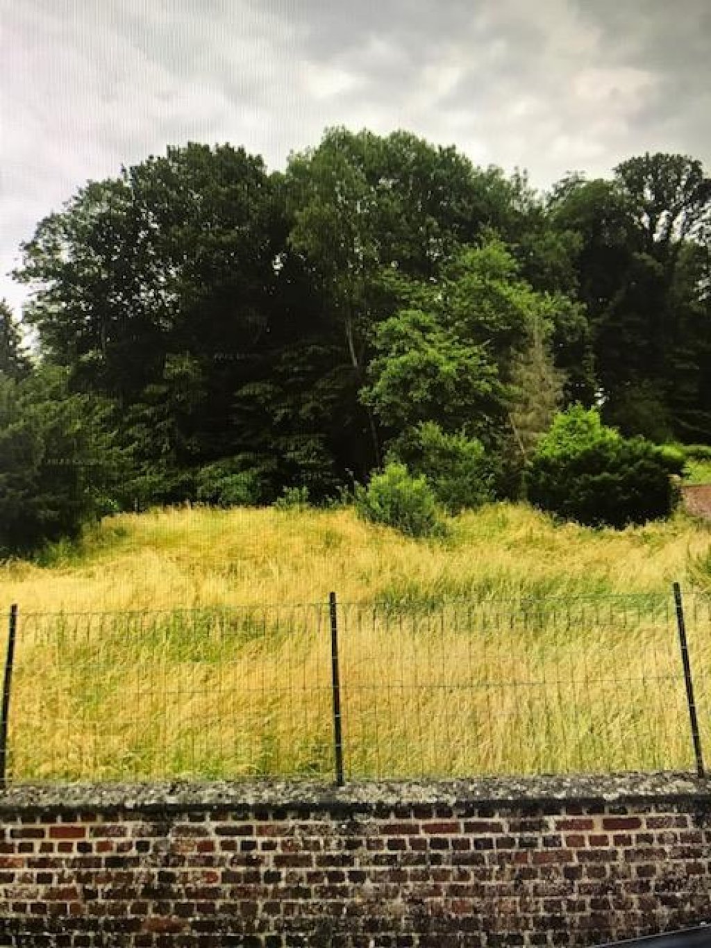 Terrains achat vente La Fère 33 000 € FAI 459 TERRAIN CONSTRUCTIBLE
A proximité de la forêt
Surface: 1448m²
Façade: 26m


PRIX: 33.000€ 
Honoraires de négociation Charge vendeur
